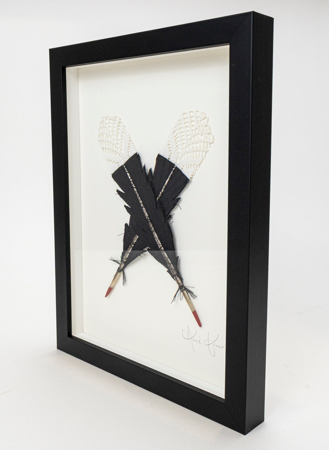 Small X Huia Feathers Framed