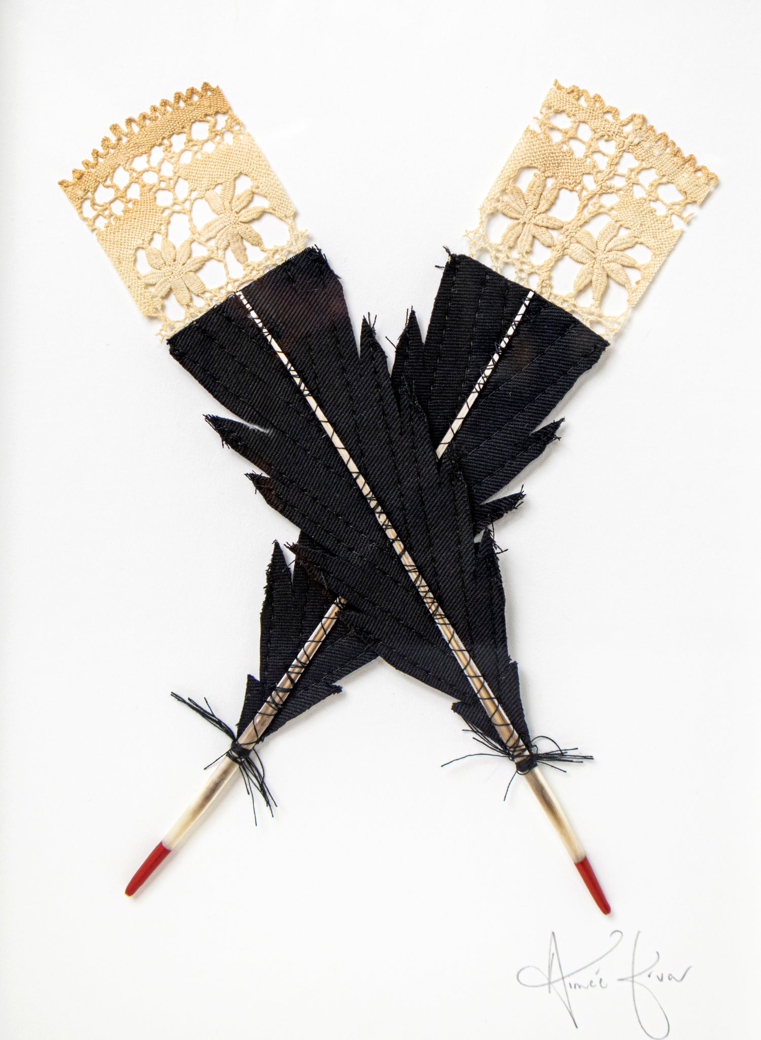 Small X Huia Feathers Framed