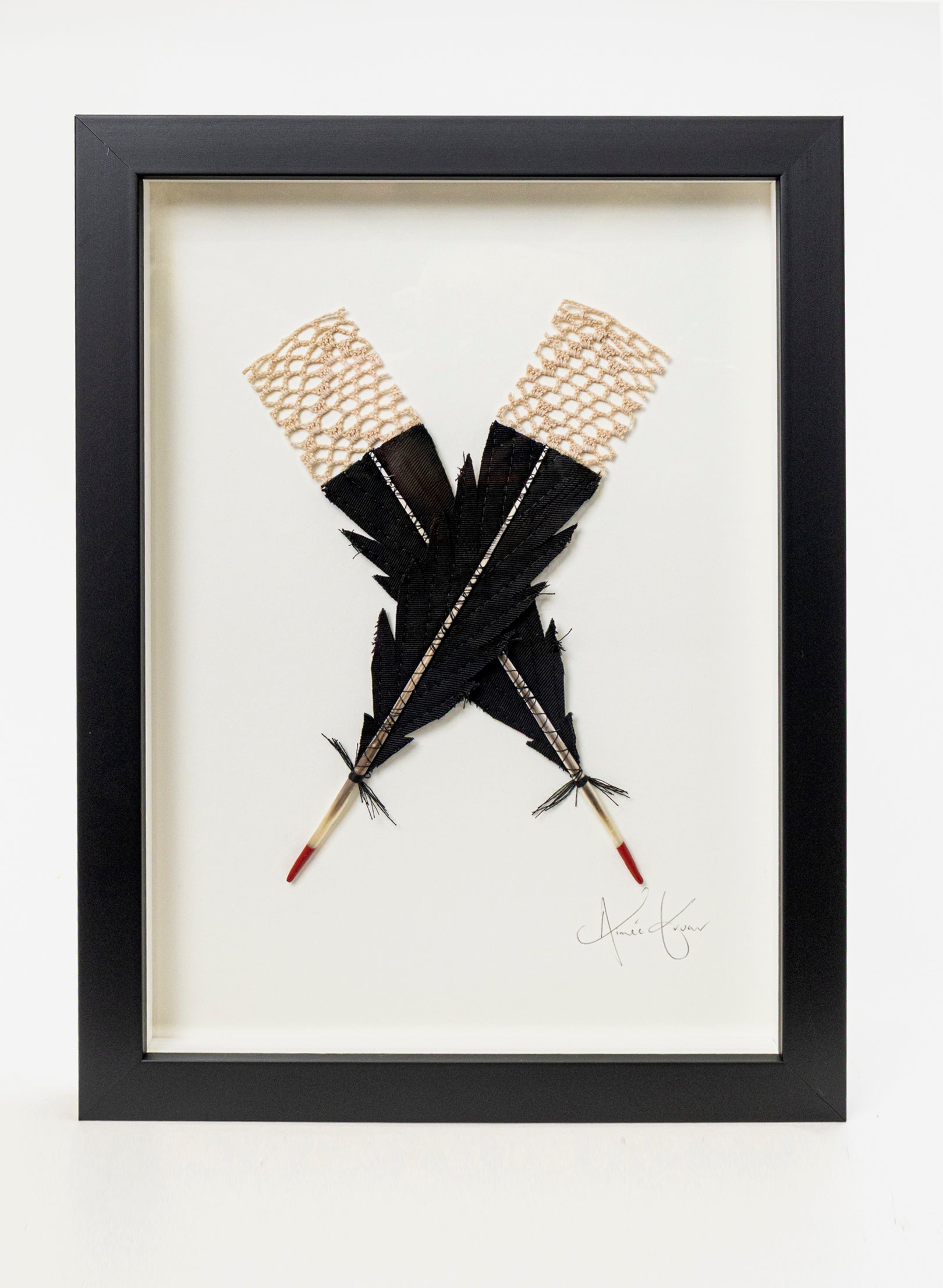 Small X Huia Feathers Framed