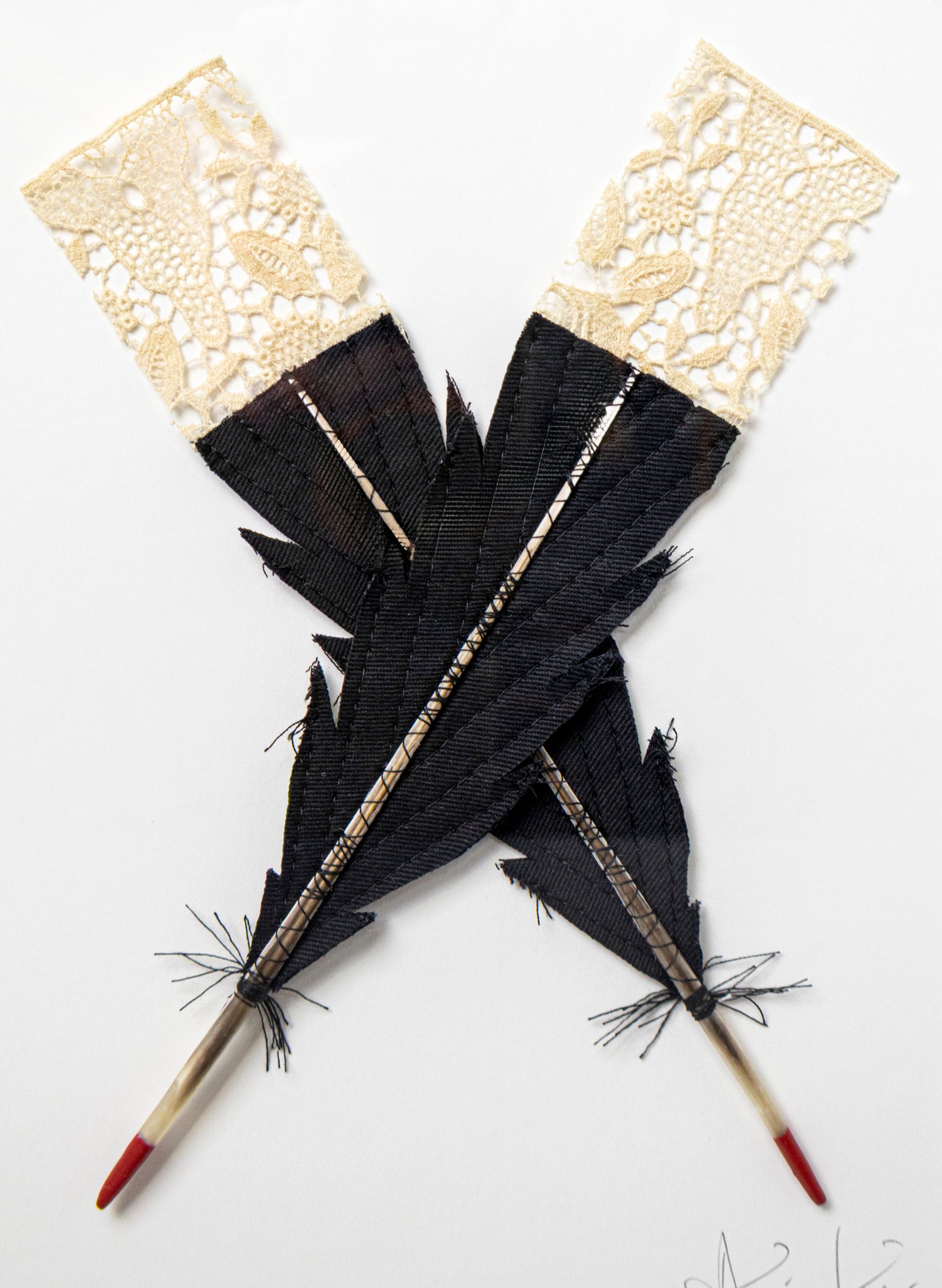 Small X Huia Feathers Framed