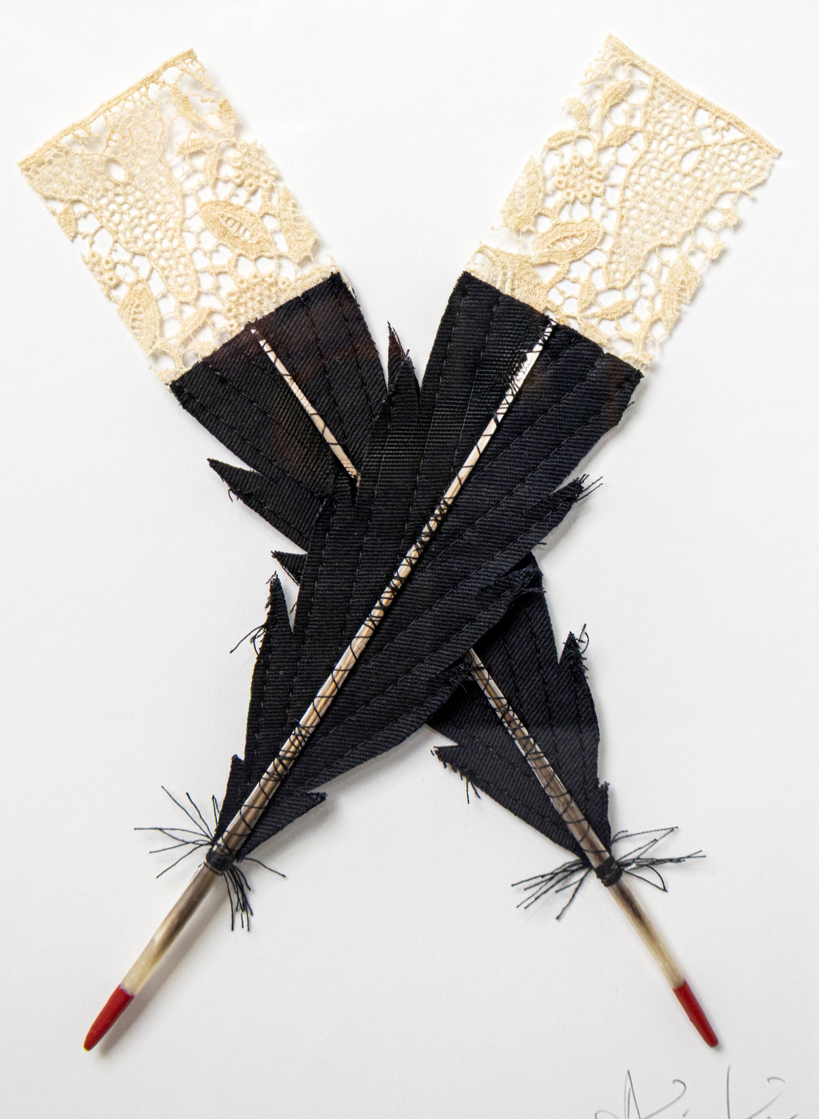Small X Huia Feathers Framed