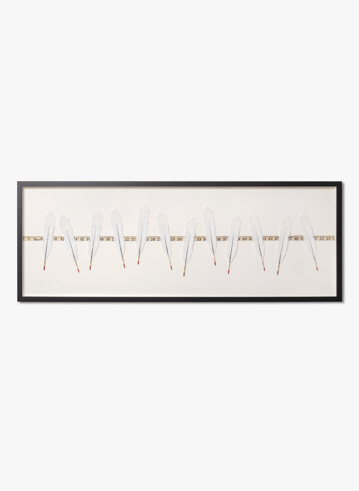 Beyond Measure - Huia Feathers Framed