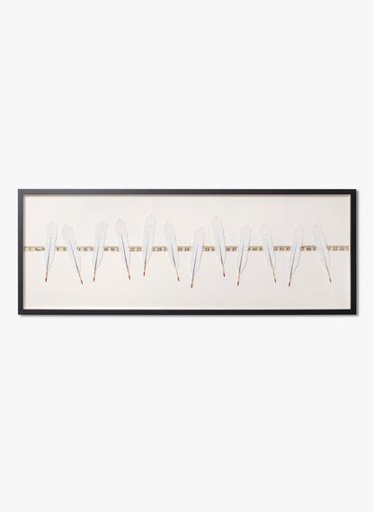 Beyond Measure - Huia Feathers Framed