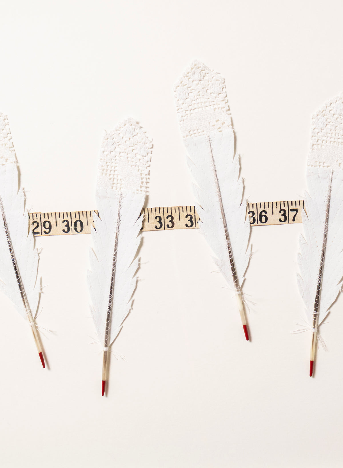 Beyond Measure - Huia Feathers Framed