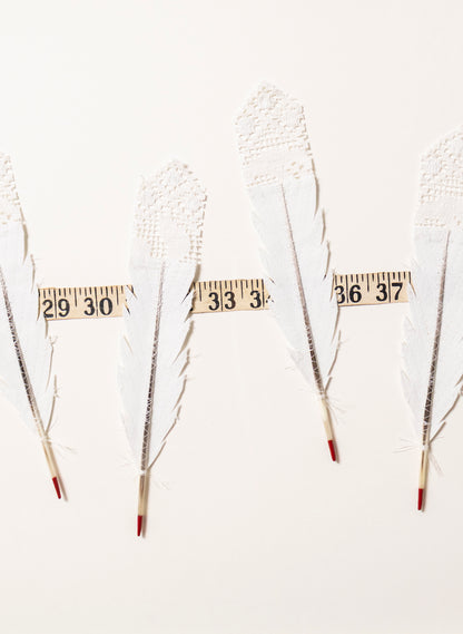 Beyond Measure - Huia Feathers Framed