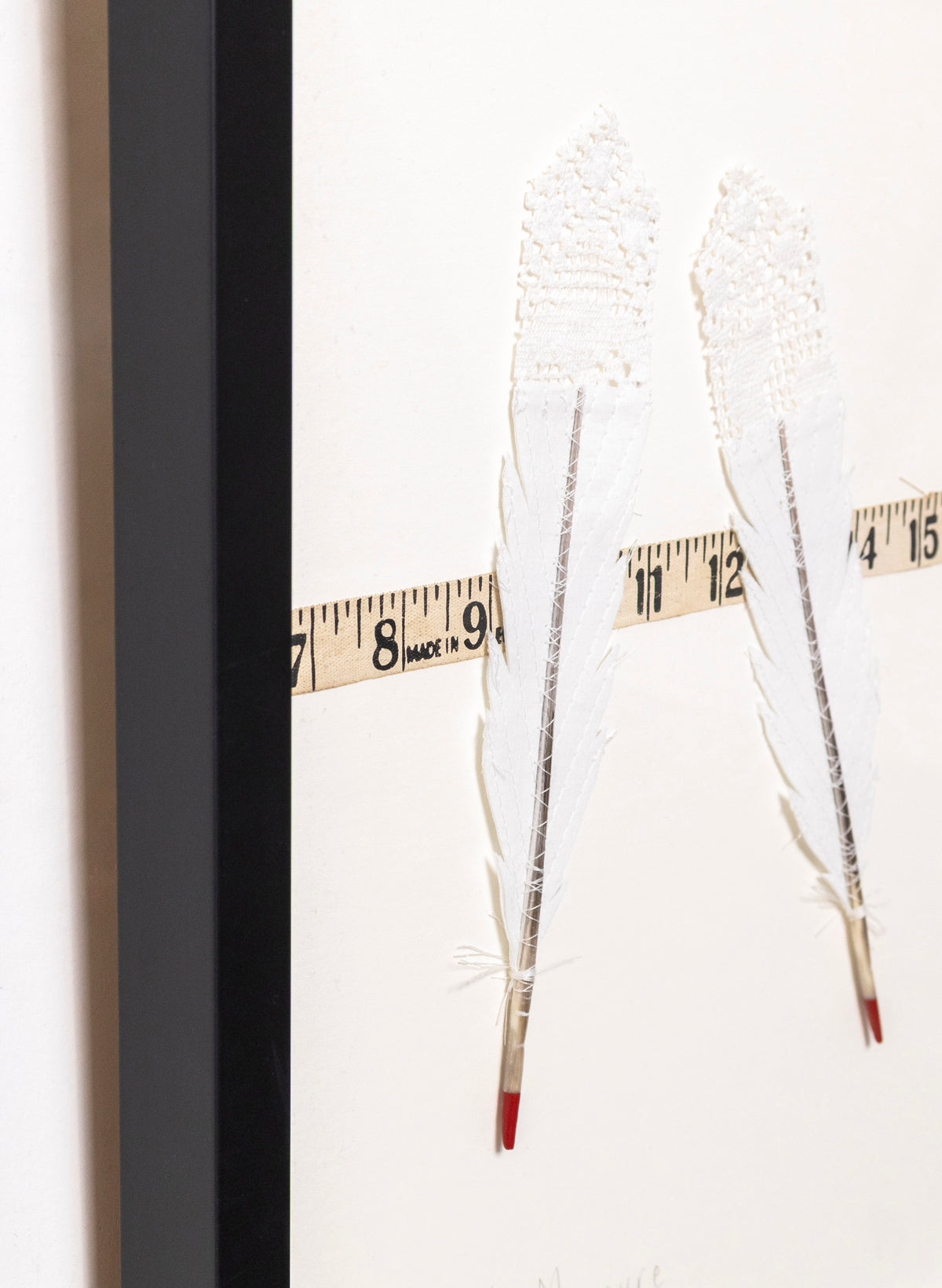 Beyond Measure - Huia Feathers Framed