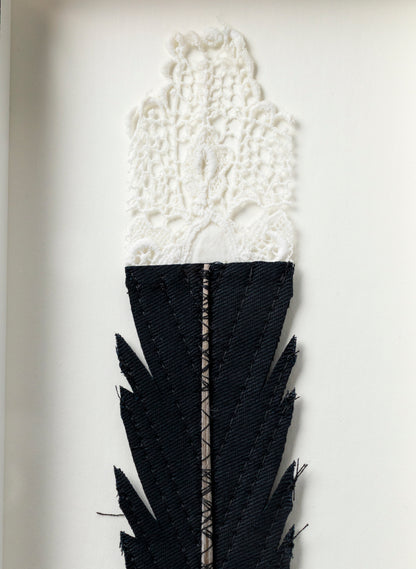 Single Huia Feather Framed
