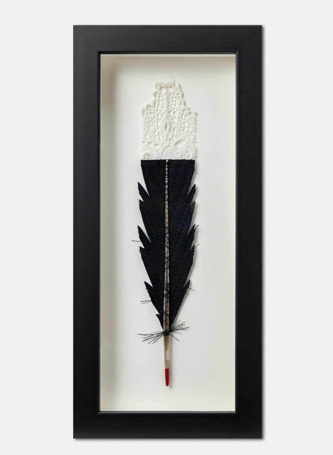 Single Huia Feather Framed