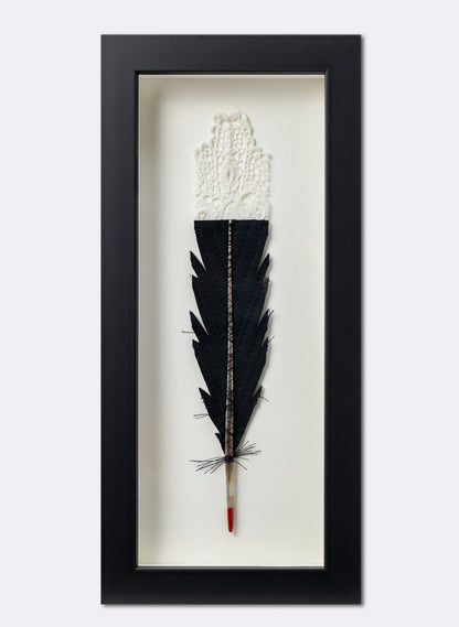 Single Huia Feather Framed