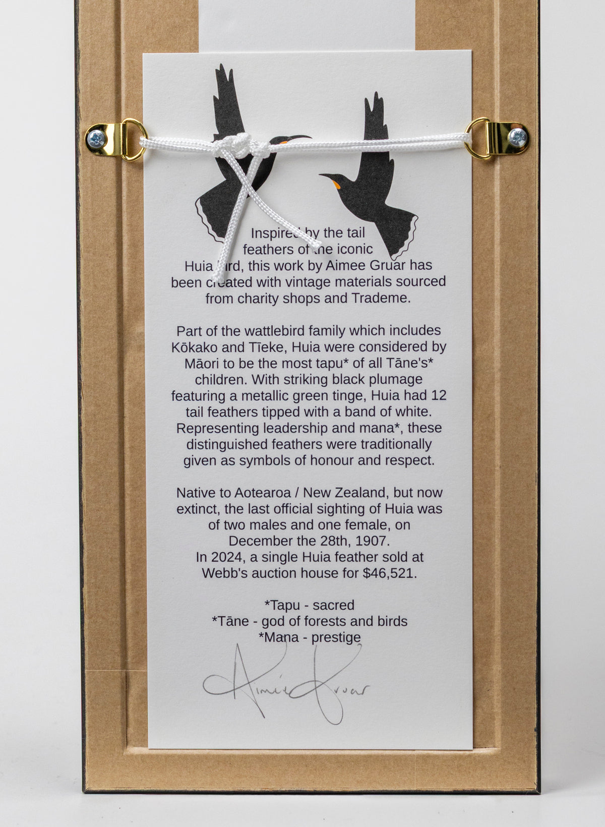 Single Huia Feather Framed