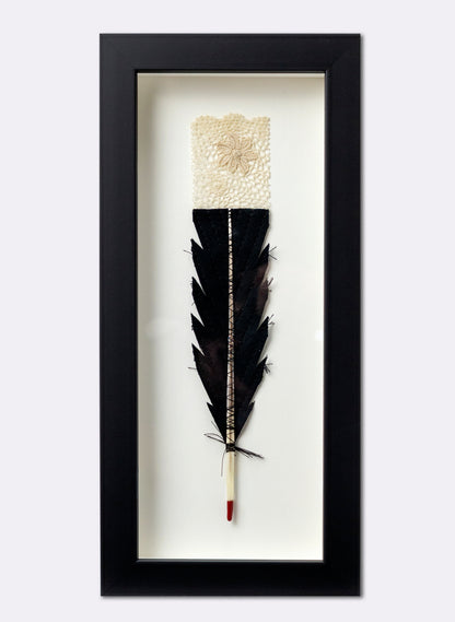 Single Huia Feather Framed