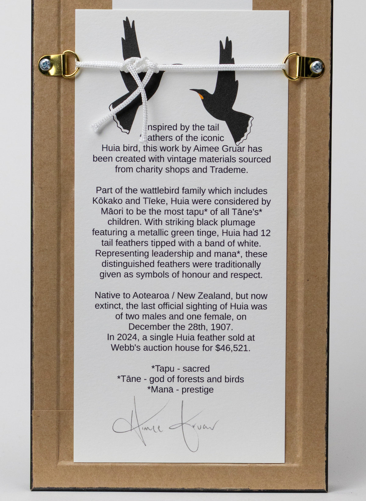 Single Huia Feather Framed