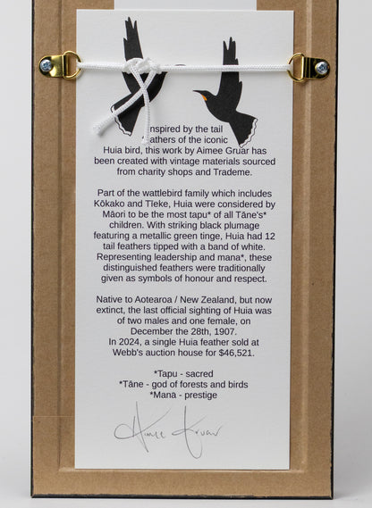 Single Huia Feather Framed