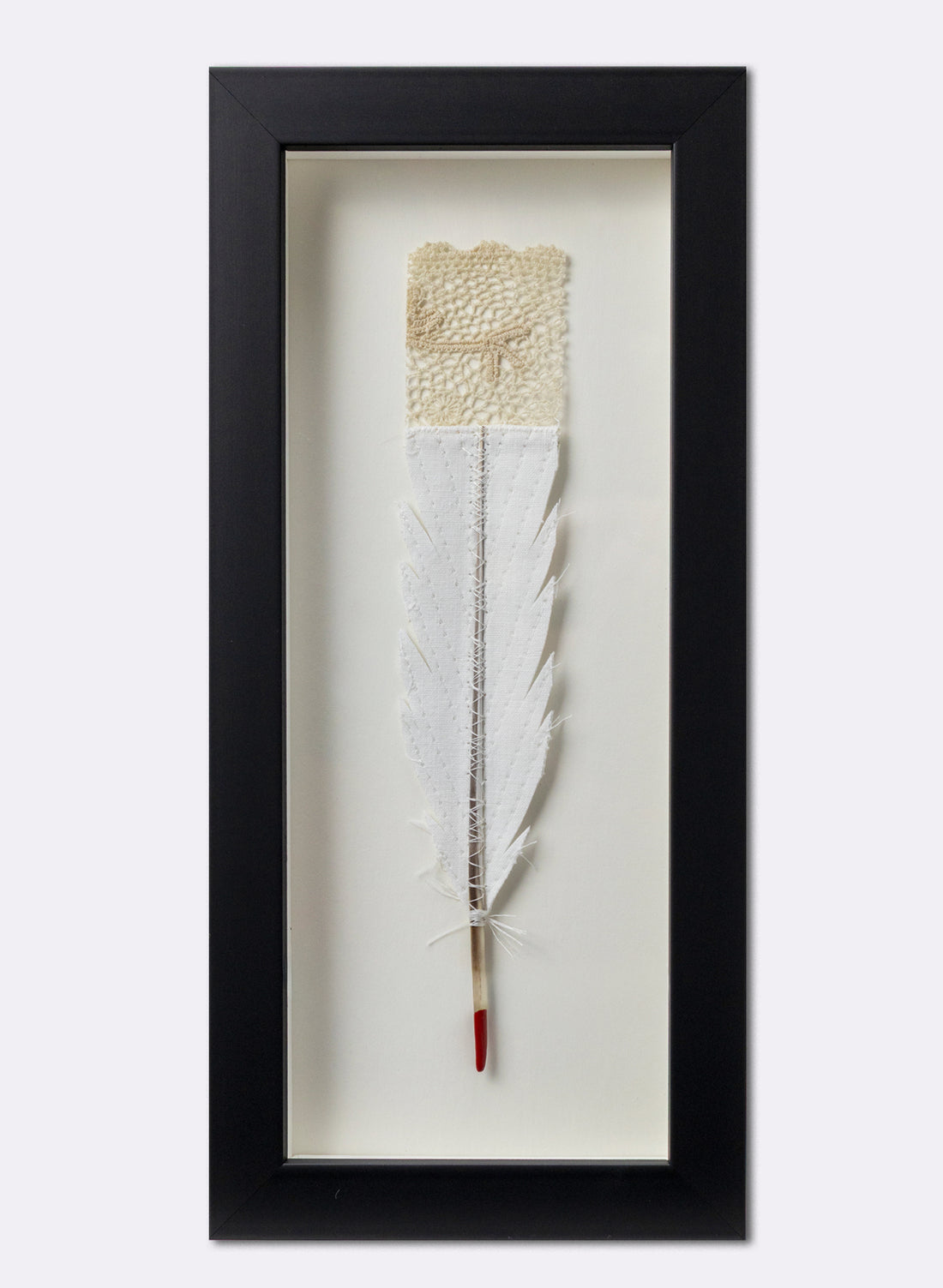 Single Huia Feather Framed