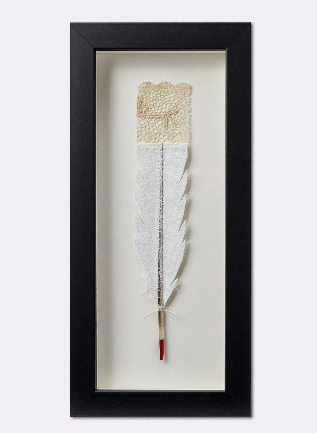 Single Huia Feather Framed