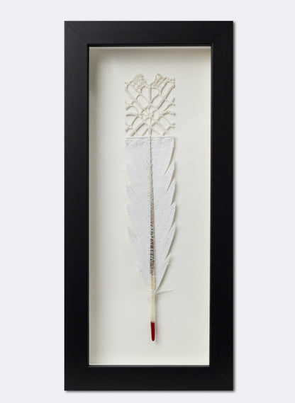 Single Huia Feather Framed