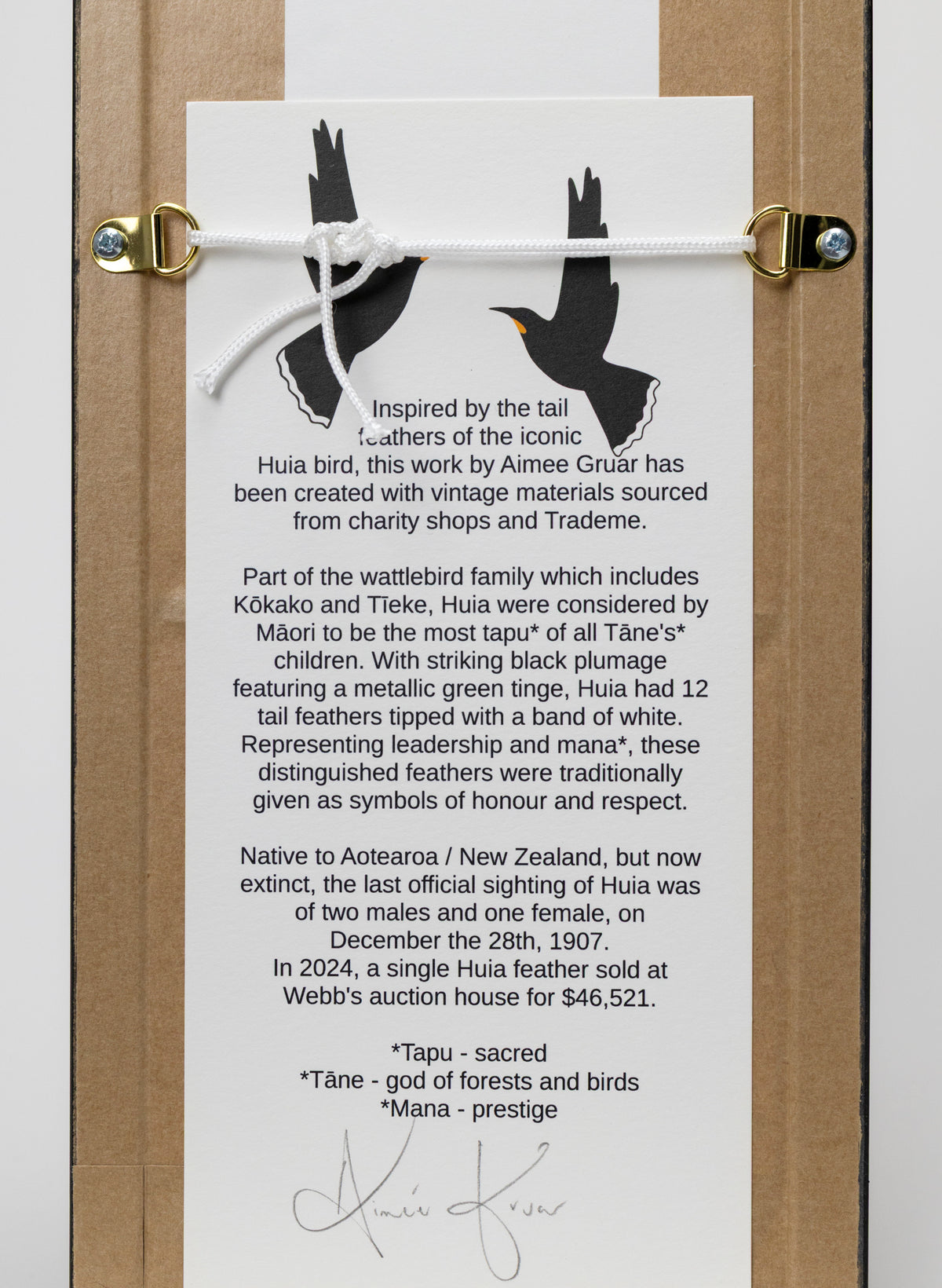 Single Huia Feather Framed