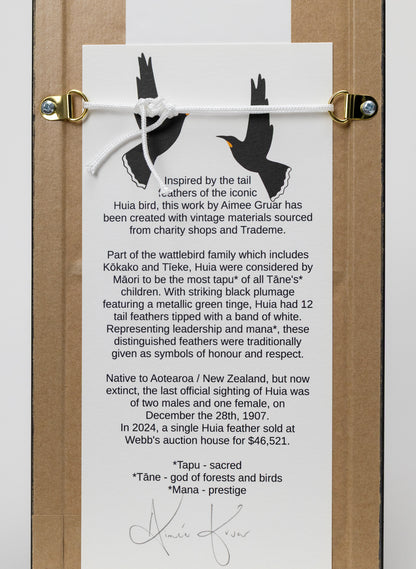 Single Huia Feather Framed