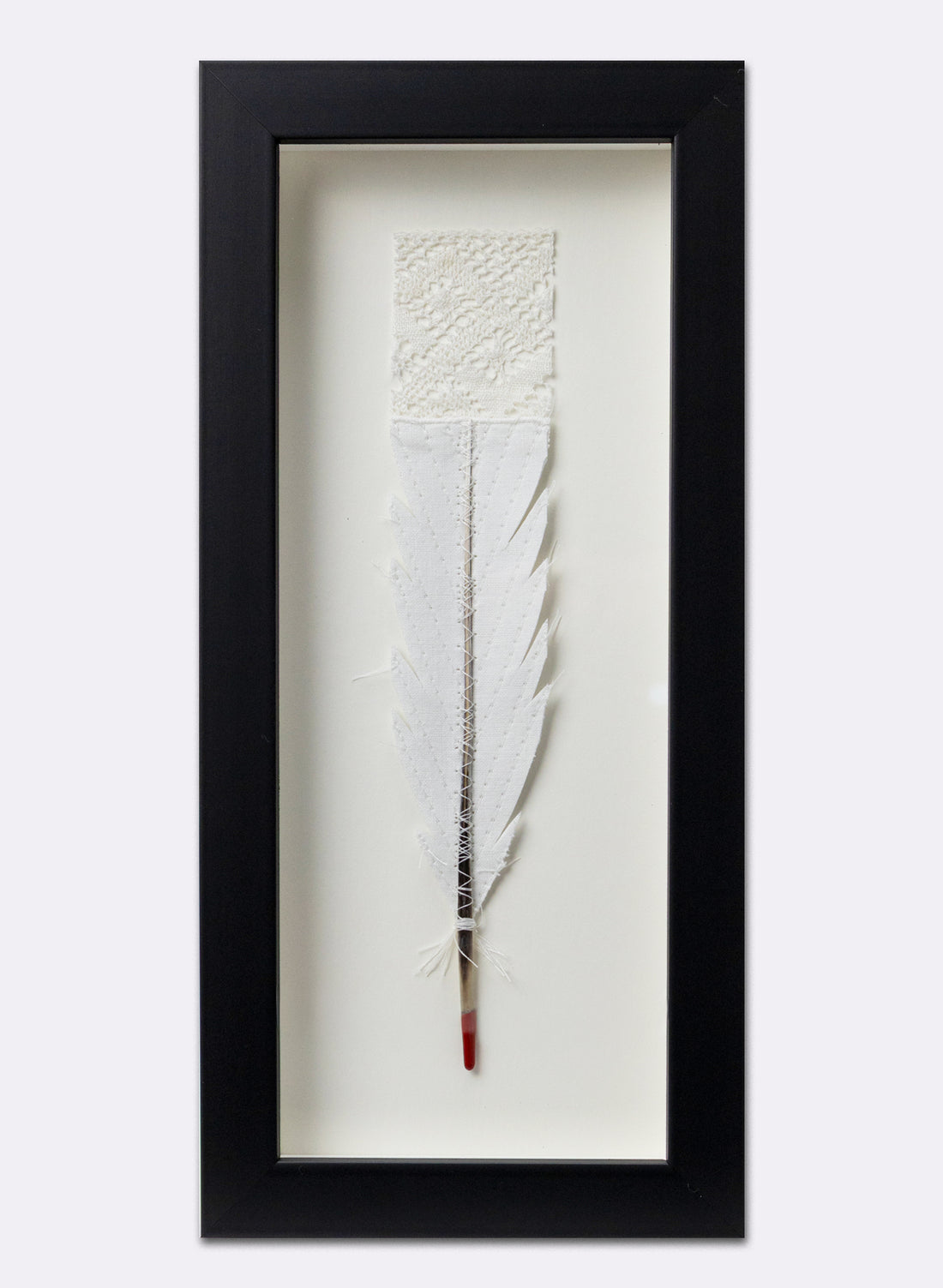 Single Huia Feather Framed