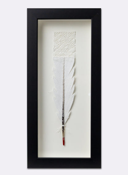 Single Huia Feather Framed