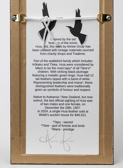 Single Huia Feather Framed