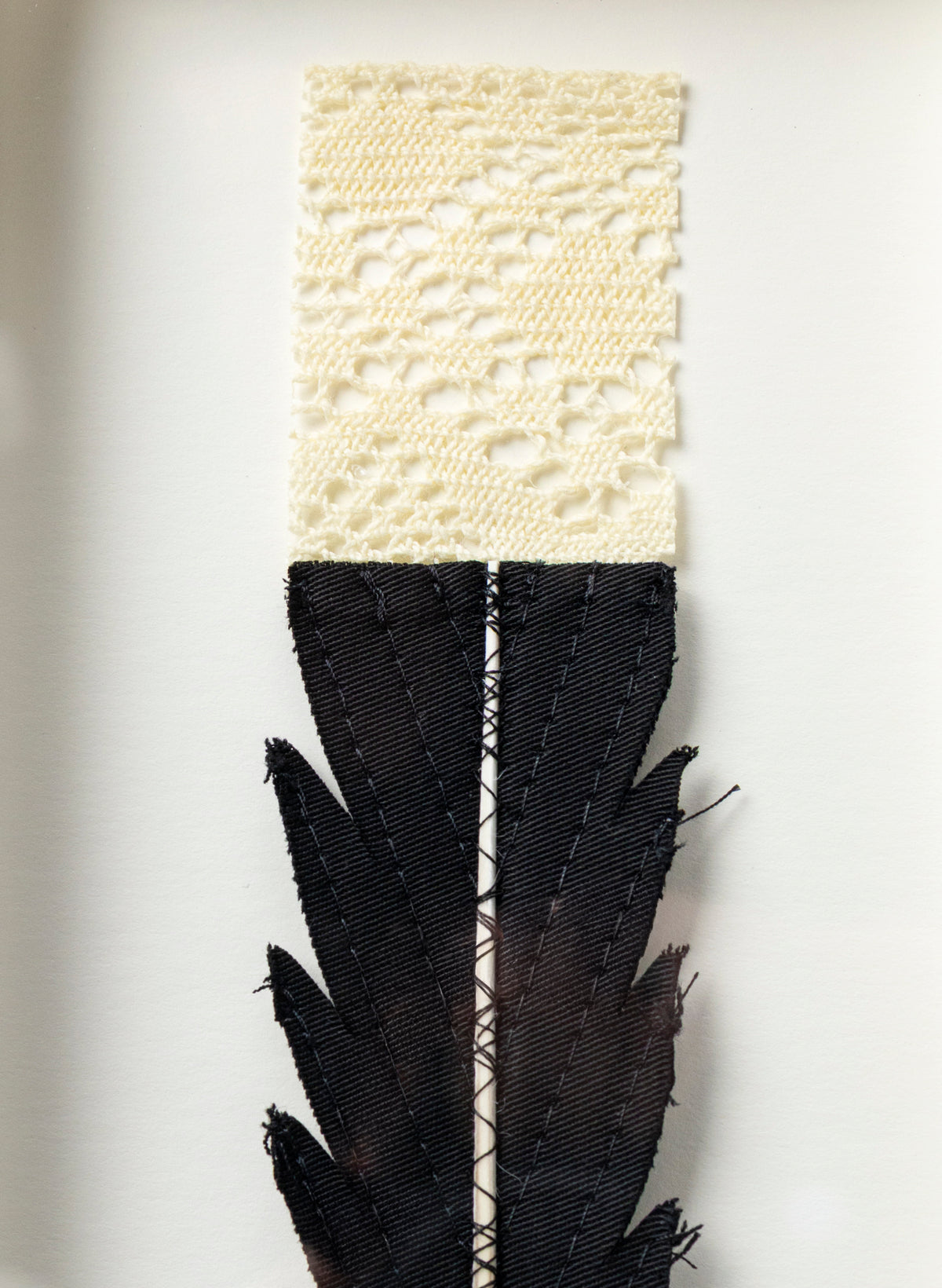 Single Huia Feather Framed