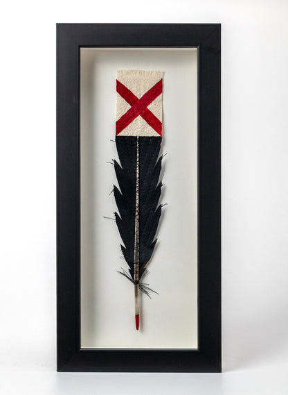 Single Huia Feather Framed