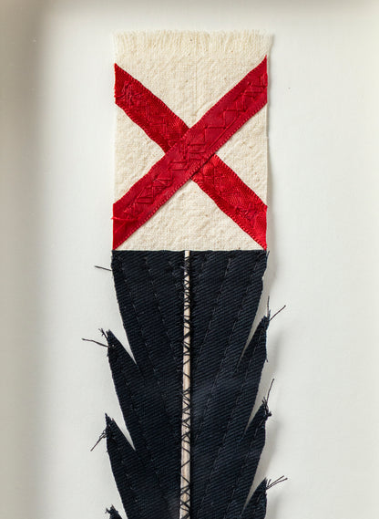 Single Huia Feather Framed