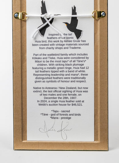 Single Huia Feather Framed