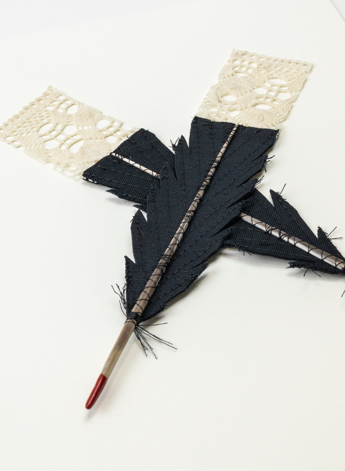 Small X Huia Feathers Framed