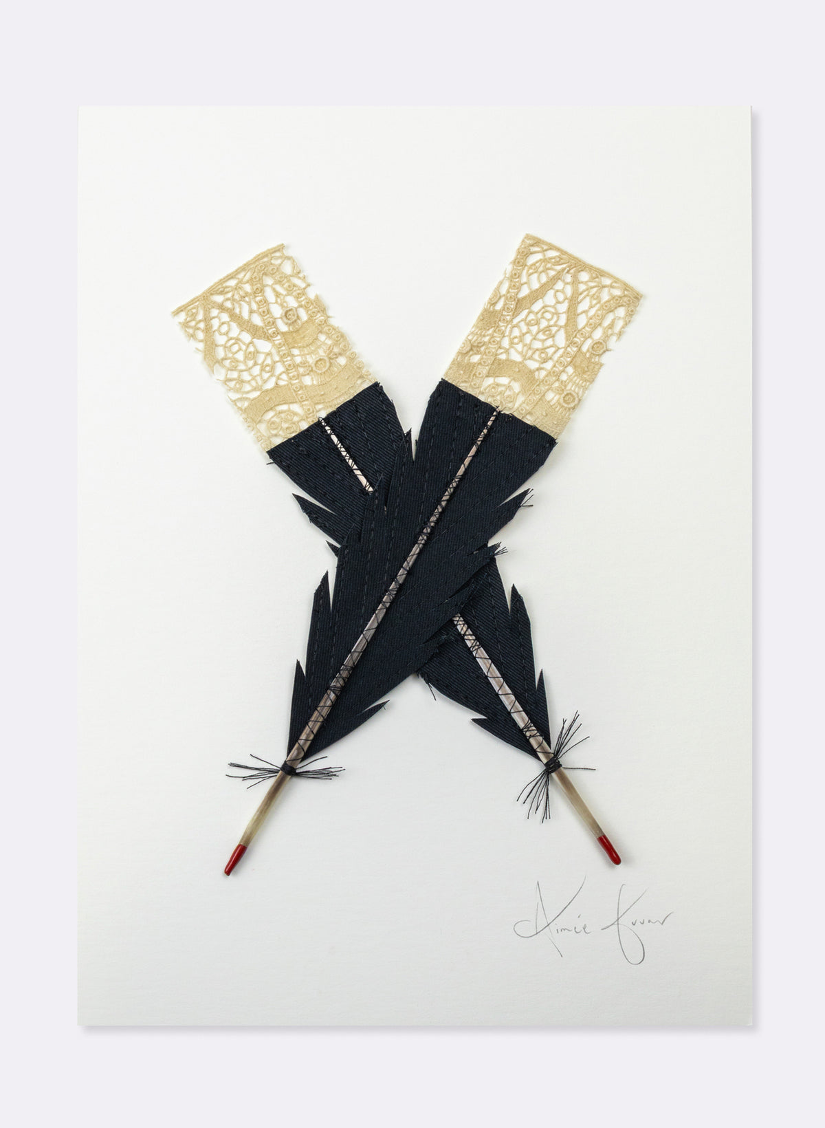 Small X Huia Feathers Framed