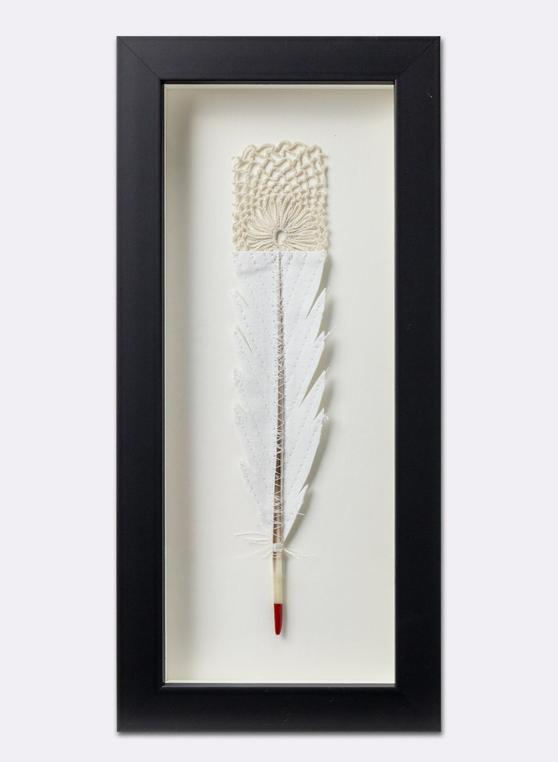 Single Huia Feather Framed