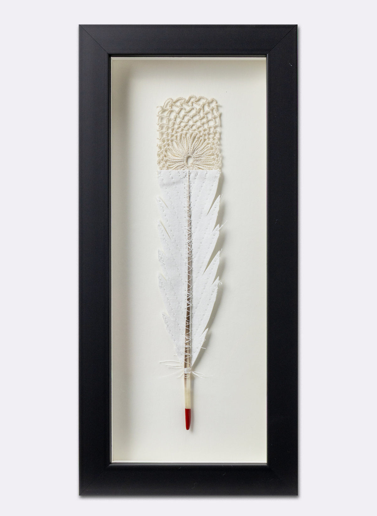 Single Huia Feather Framed