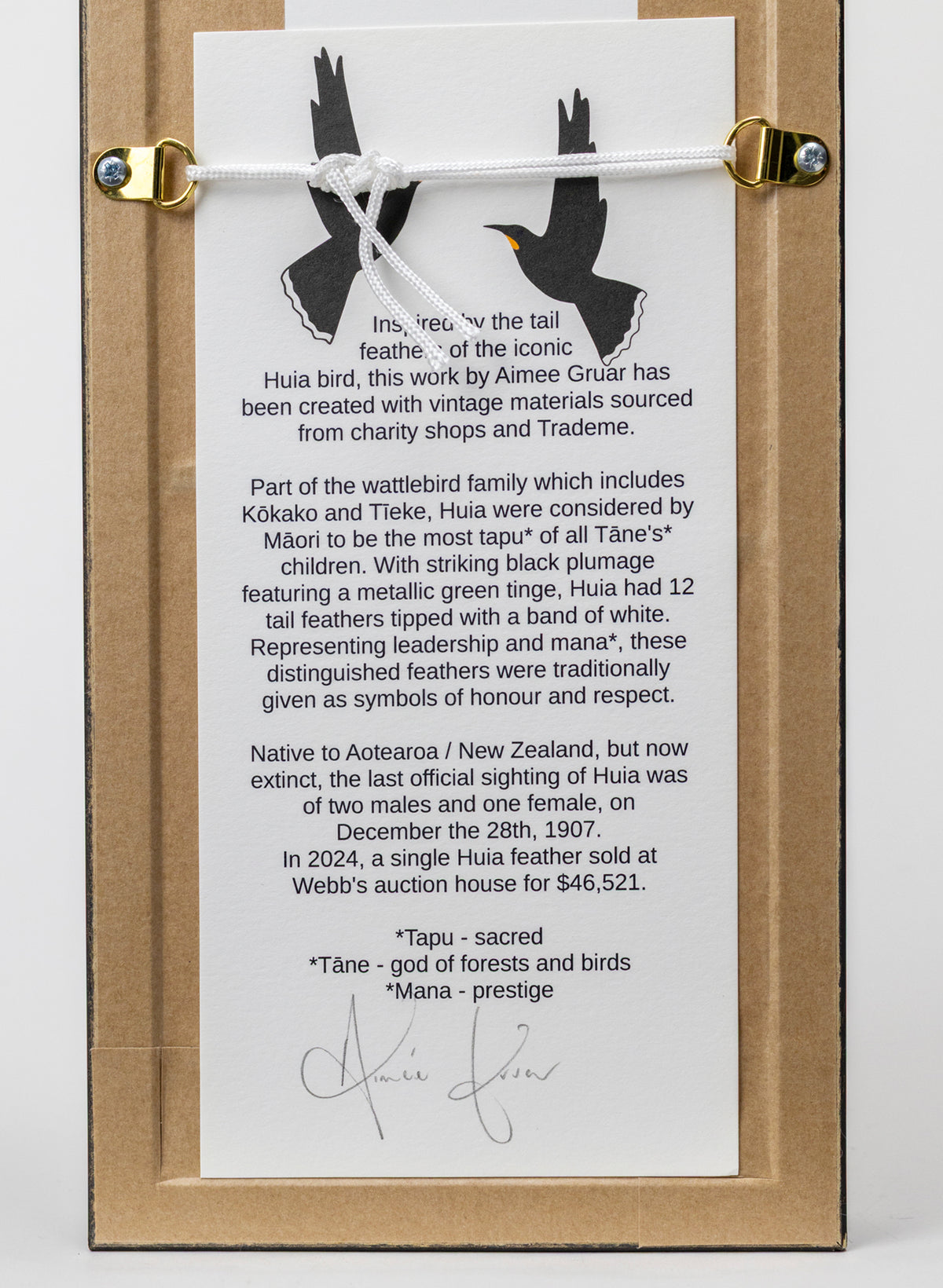 Single Huia Feather Framed