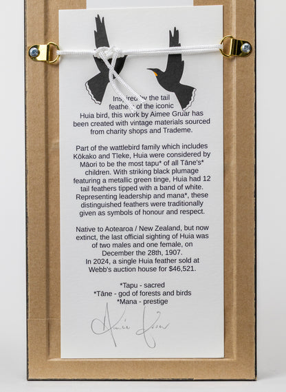 Single Huia Feather Framed