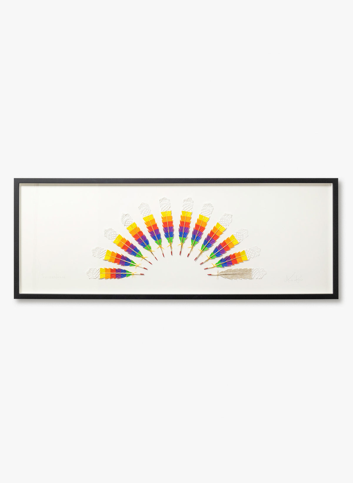 Transcendence - Rainbow Huia Feathers Framed