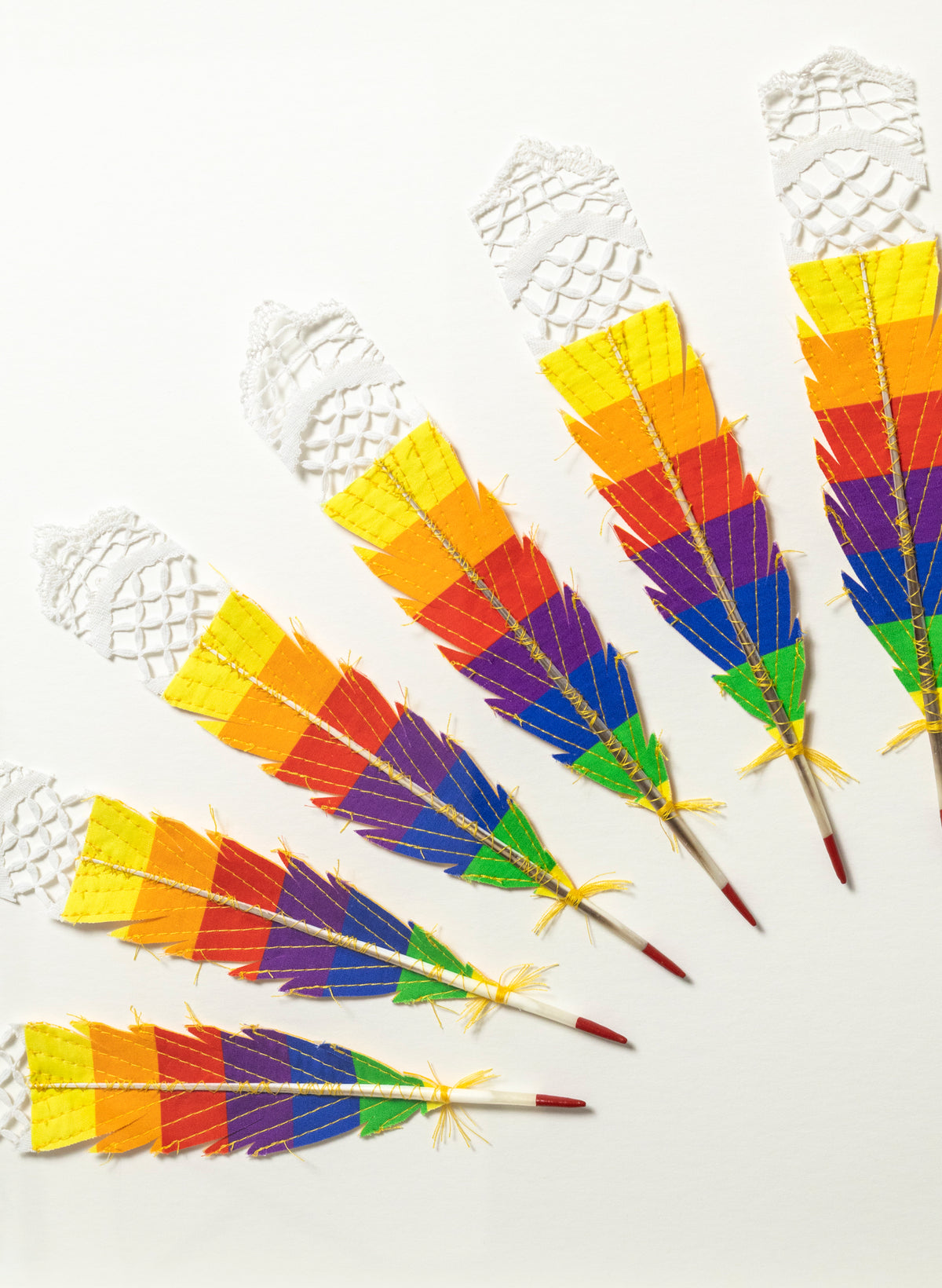 Transcendence - Rainbow Huia Feathers Framed