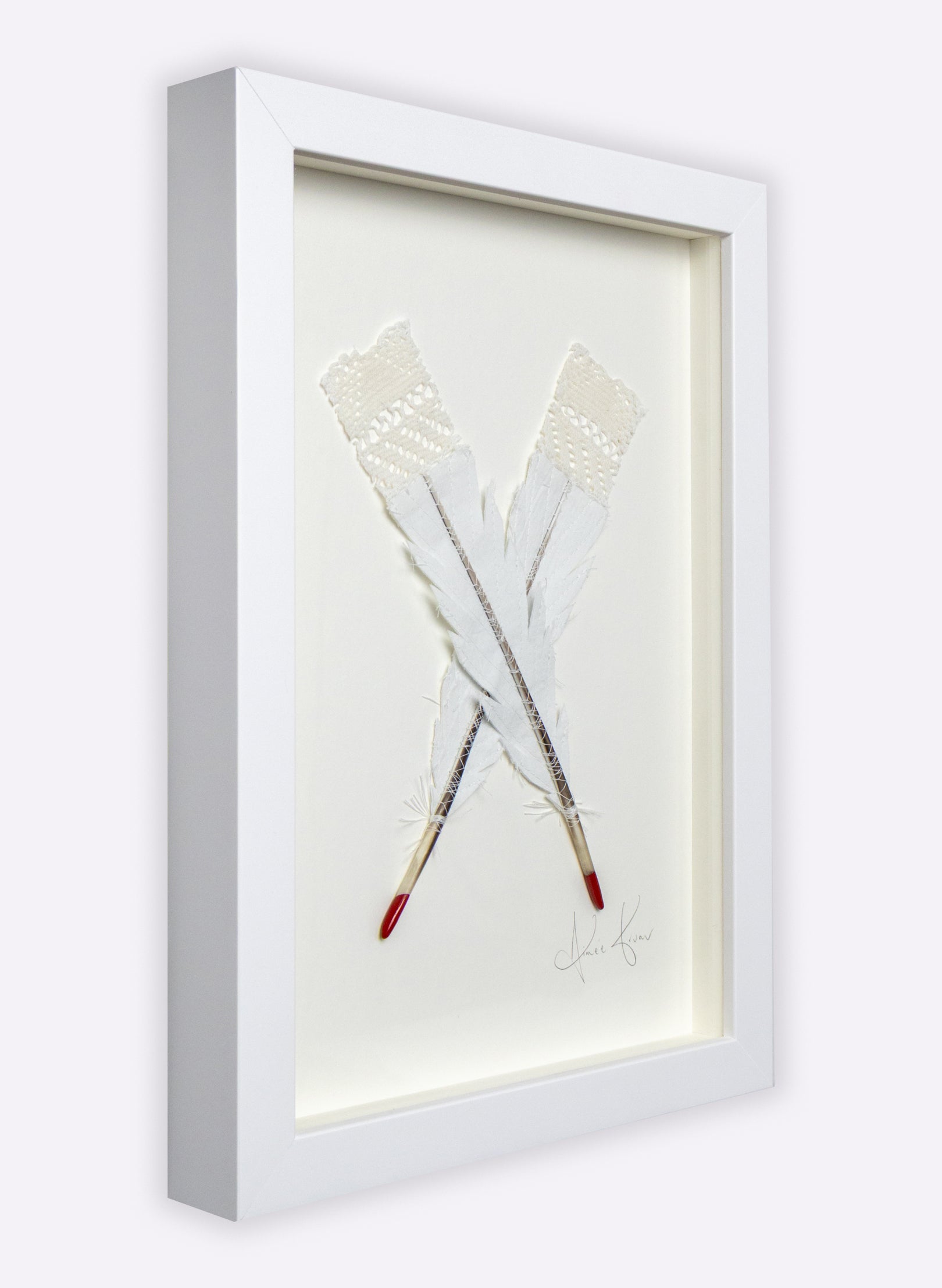 Double Huia Feather Framed