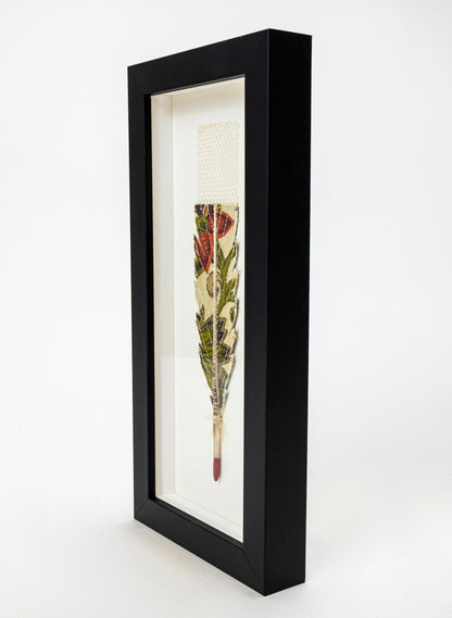 Single Huia Feather Framed