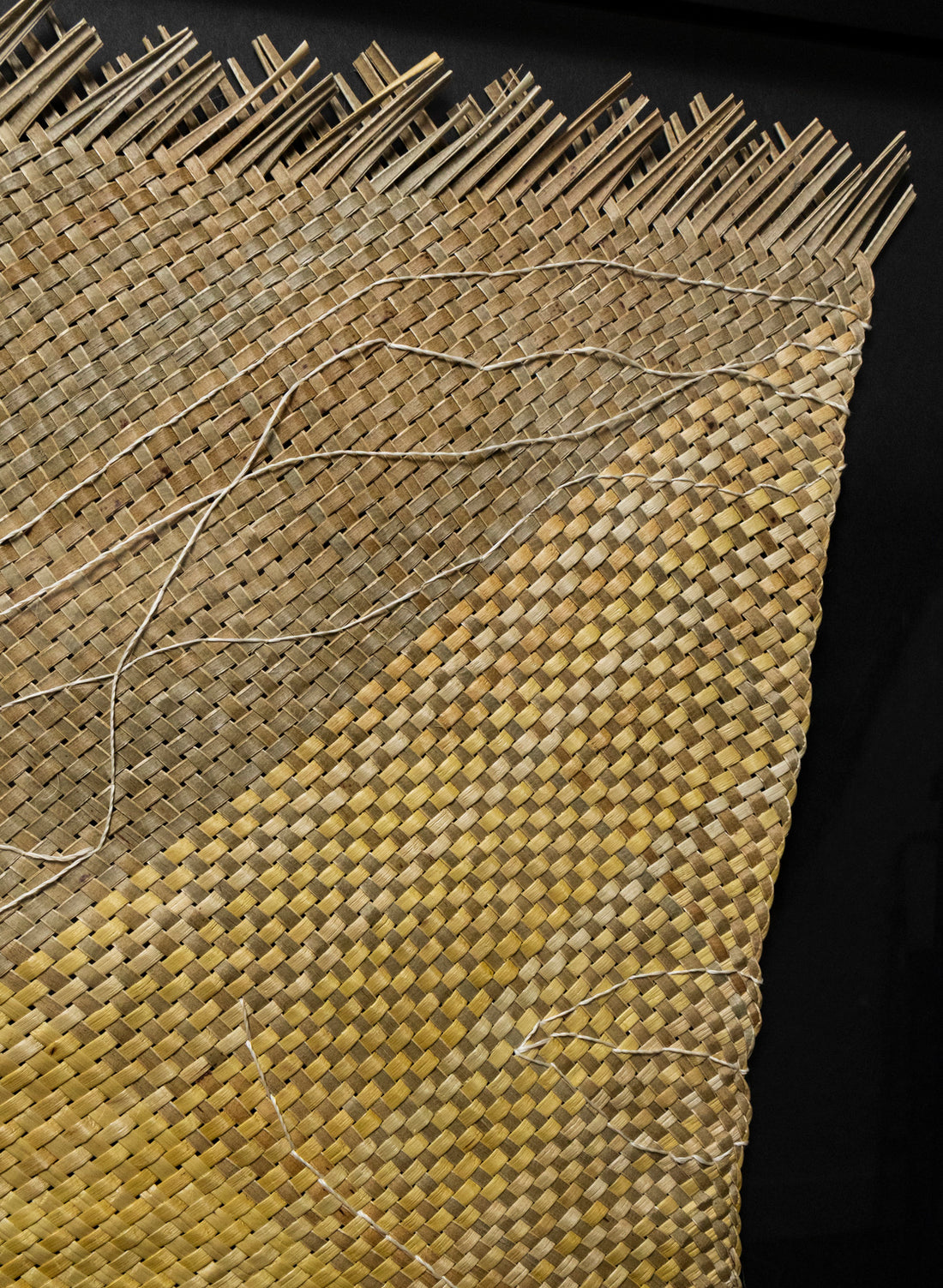 Love Your Big Wonky Self