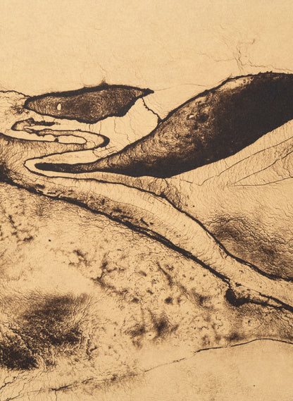 Where River Meets Sea