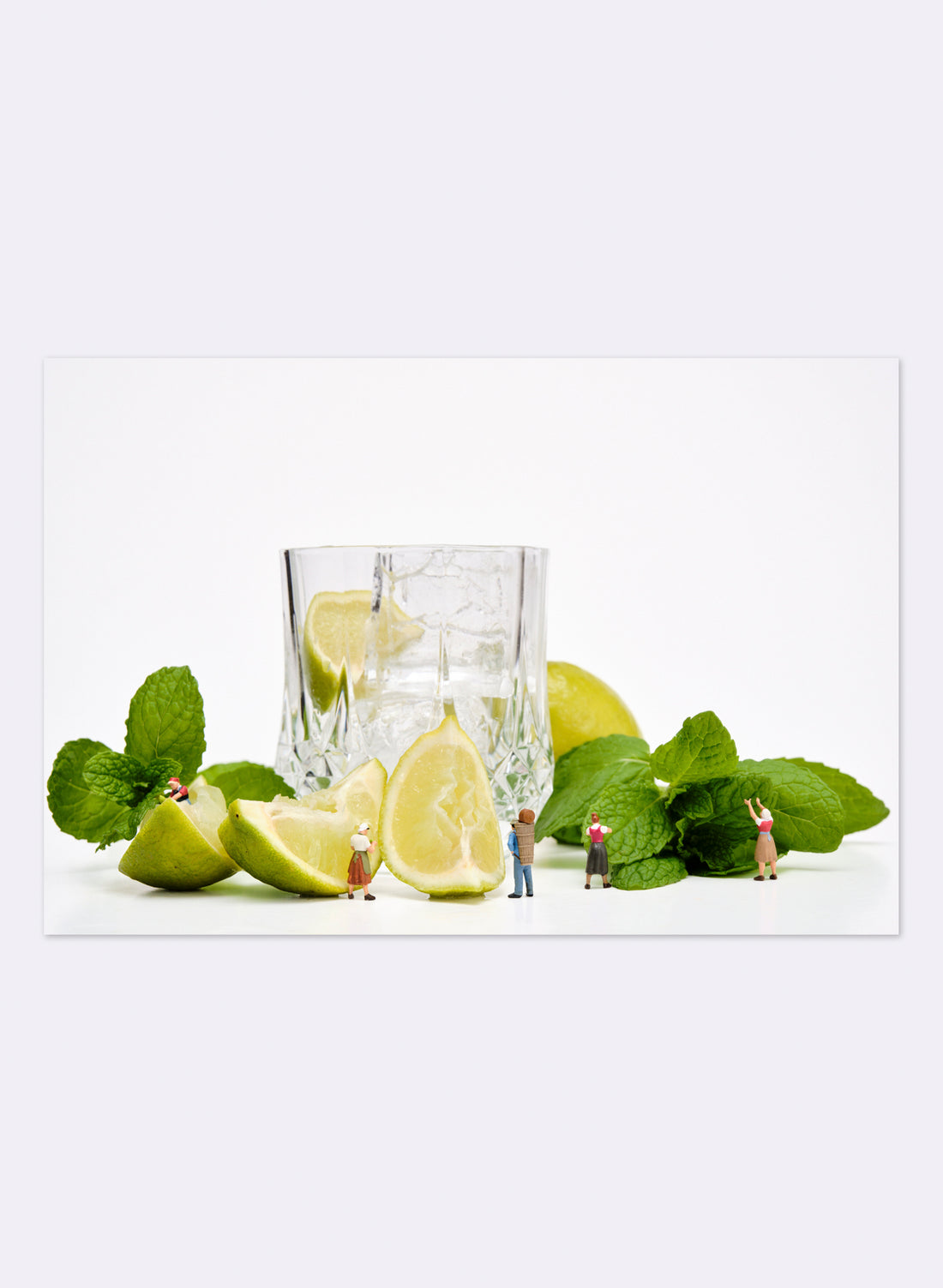 The Mojito Collective  - Photographic Print