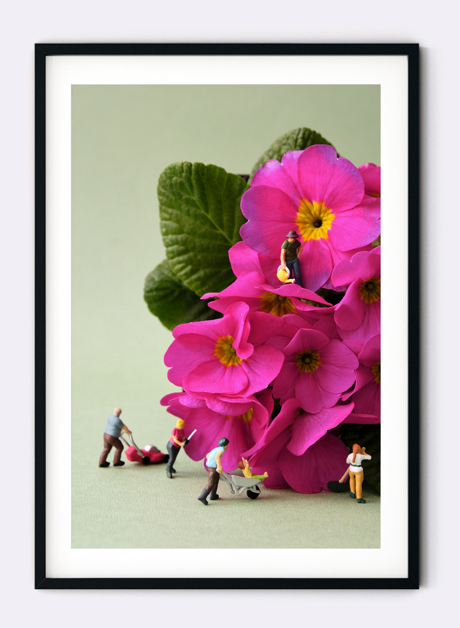 Vertically Challenged Gardening - Photographic Print