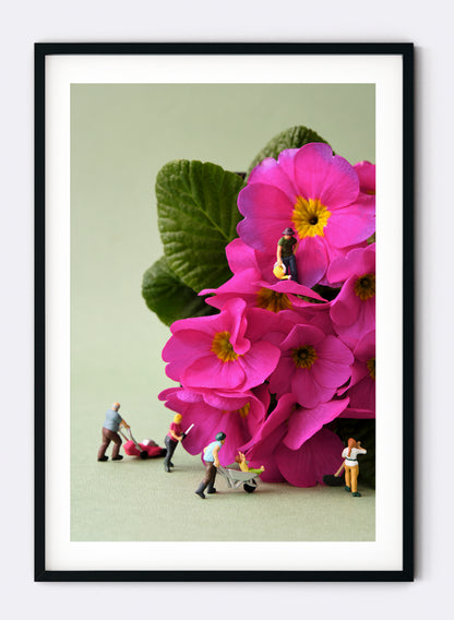 Vertically Challenged Gardening - Photographic Print