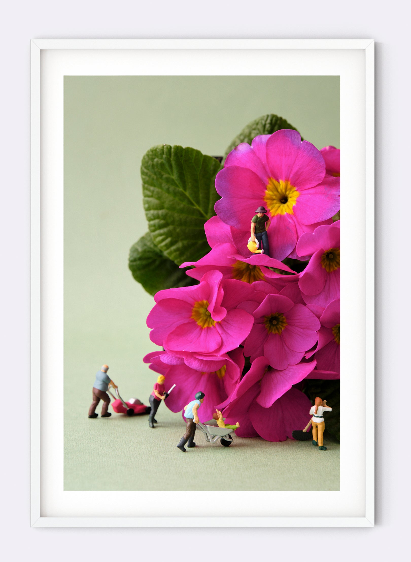 Vertically Challenged Gardening - Photographic Print
