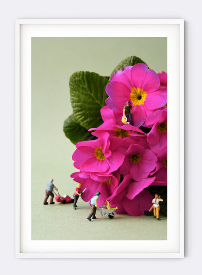 Vertically Challenged Gardening - Photographic Print