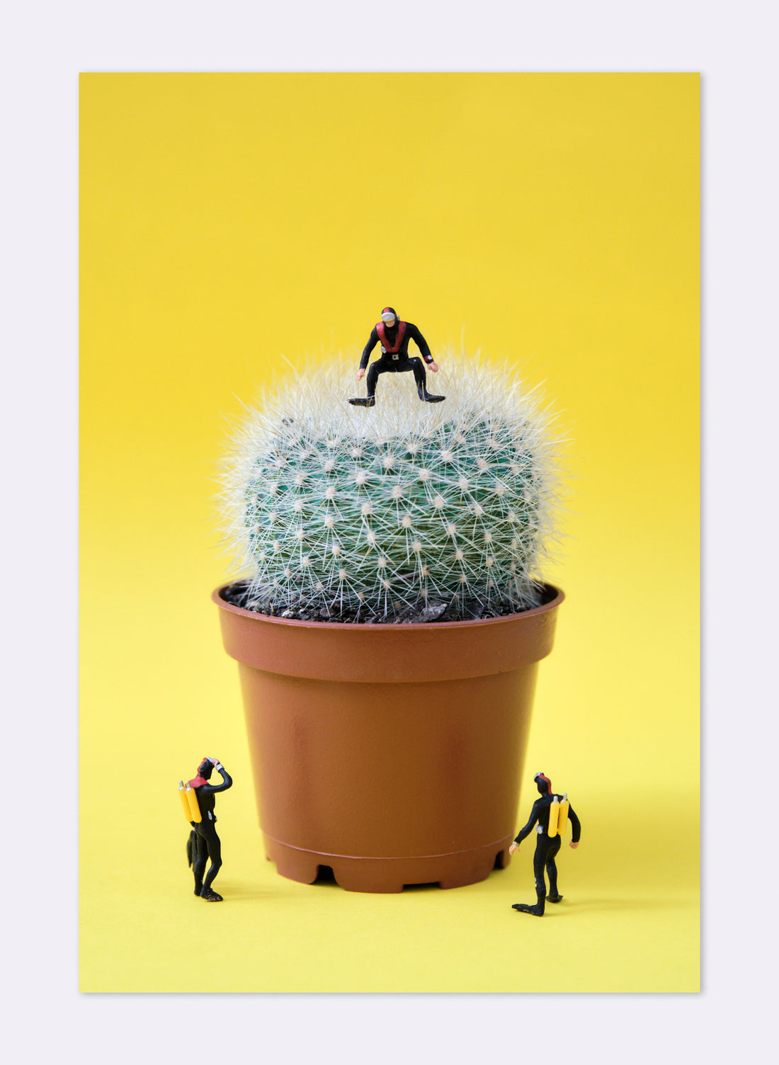 Prickadicament - Photographic Print