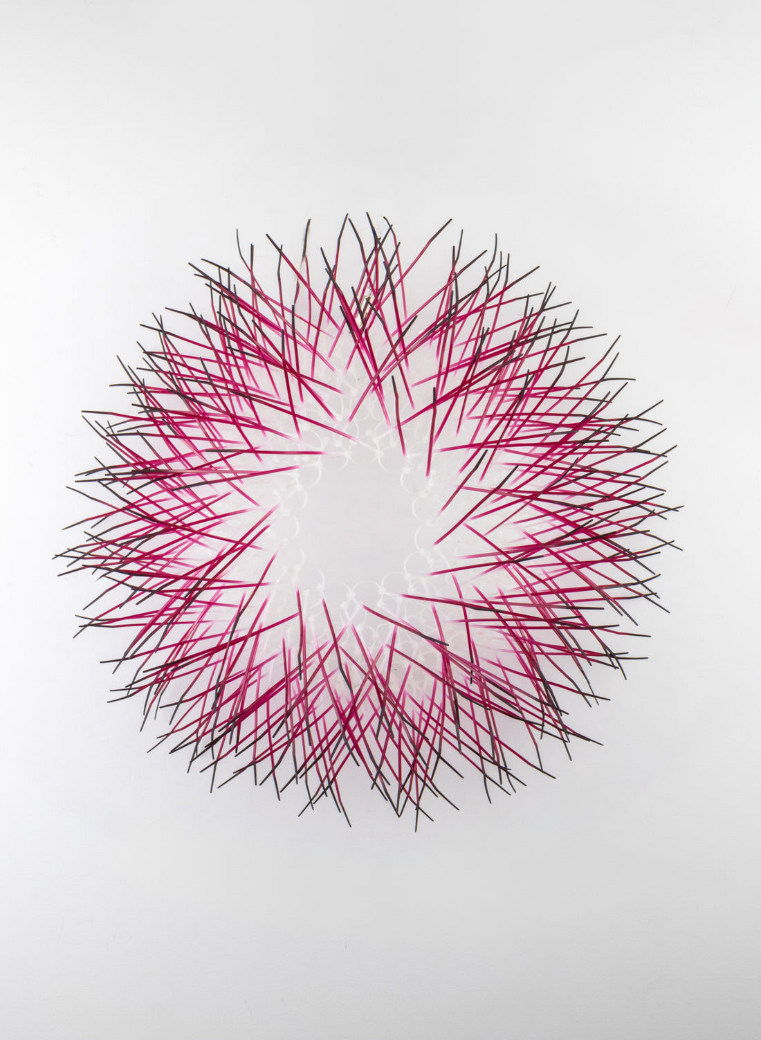 Large Kina - Fuschia