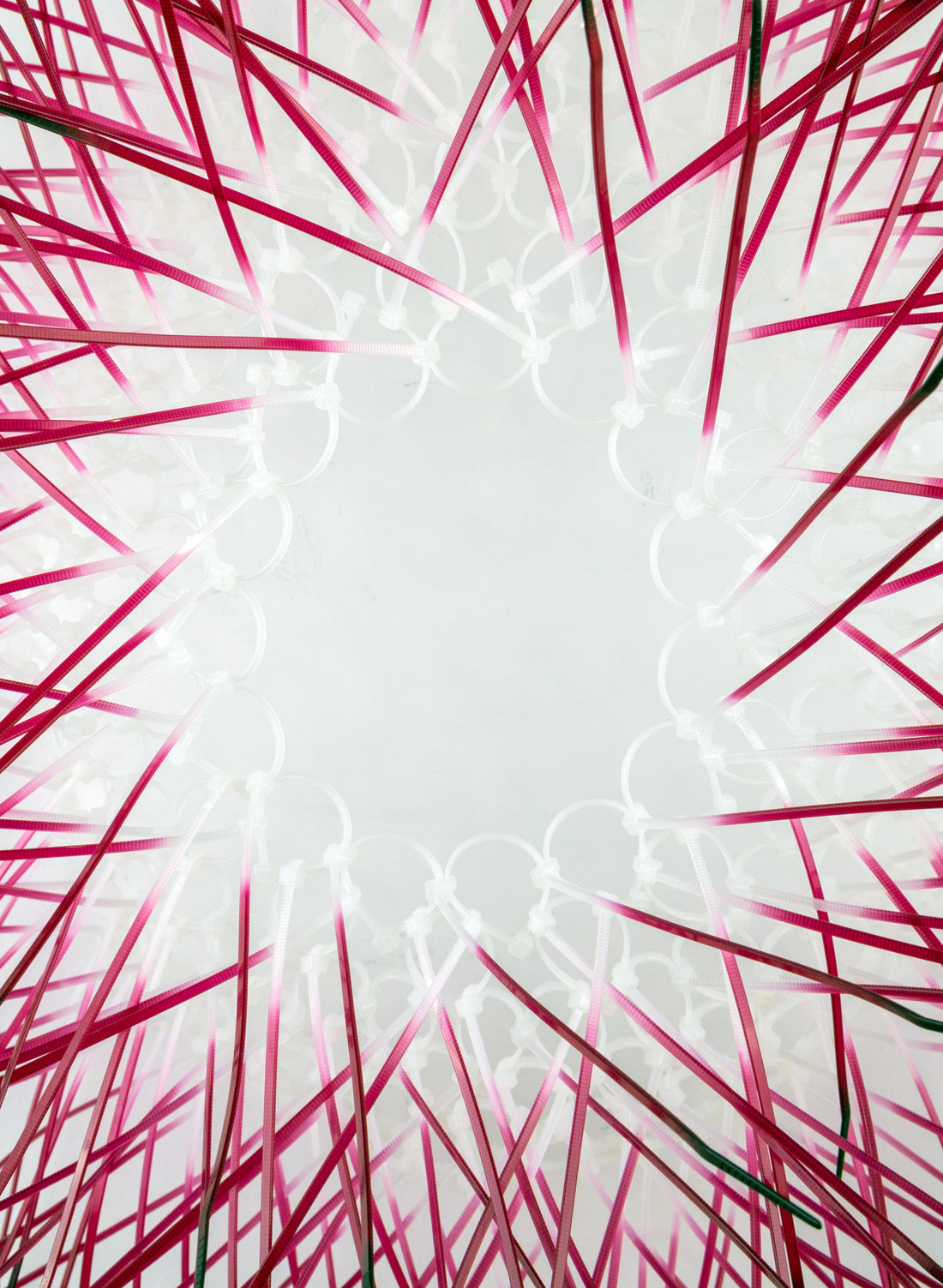 Large Kina - Fuschia