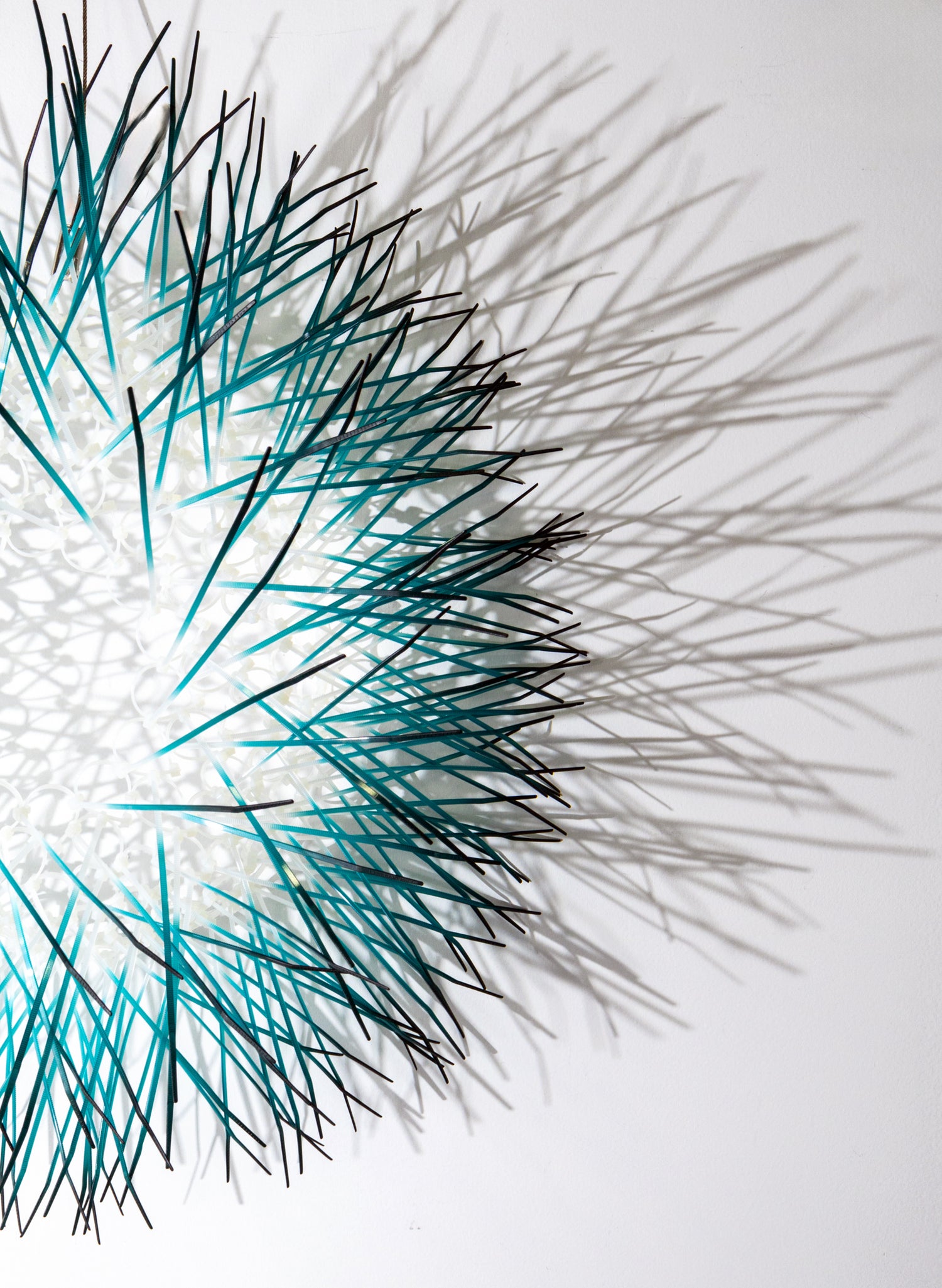 Large Kina - Teal